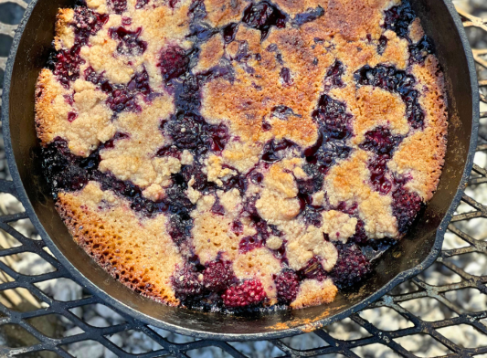 Blackberry Cobbler with Ice Cream