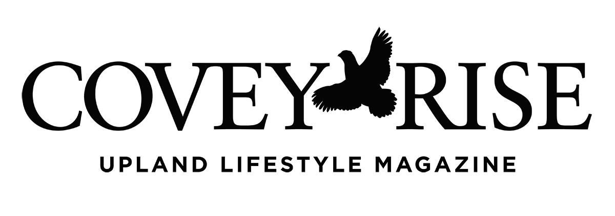 carousel logo 6