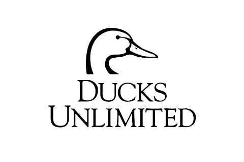 carousel logo 7