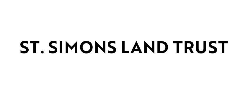 carousel logo 13
