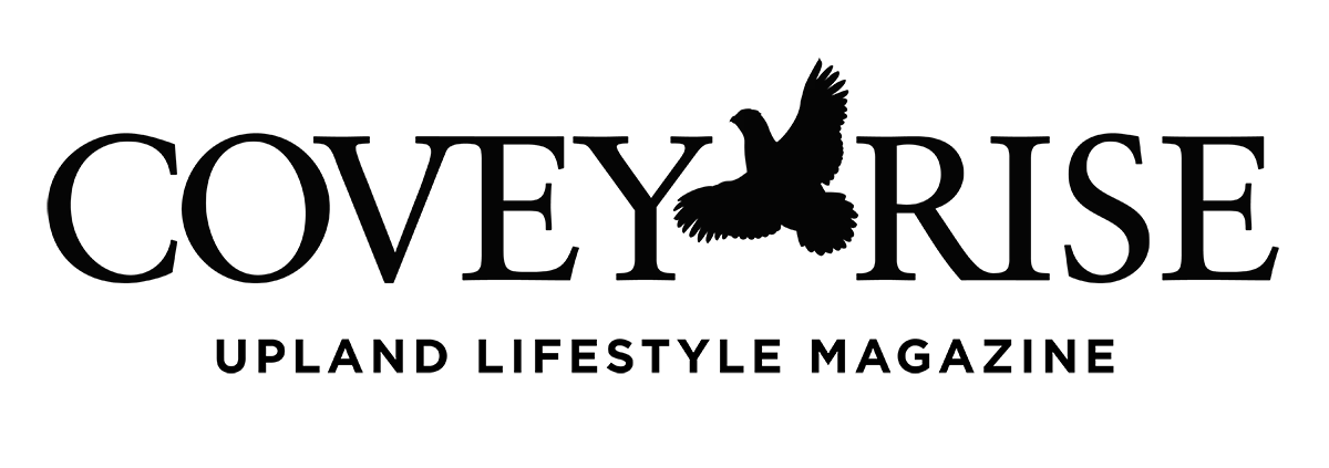 carousel logo 2
