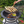 Load image into Gallery viewer, Ultimate Cooking System - Sea Island Forge
